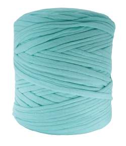 Noodle (T-shirt yarn) 4103